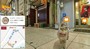 В Японии запустили сервис для кошек, аналогичный Google Street View