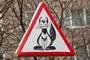 Знак "Осторожно, коты!" установили во дворе в Мурманске