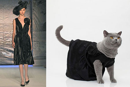 Модная одежда для кошек от United Bamboo - элегантный черный сарафан