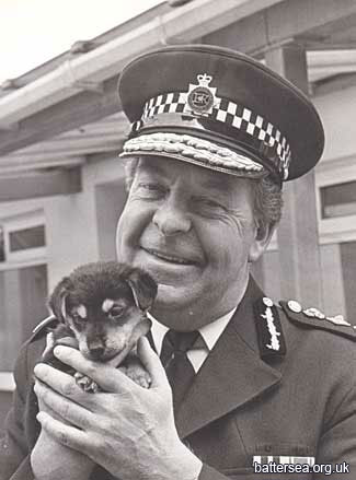 Сотрубничество приюта Battersea Dogs &  Cats Home и полиции Лондона
