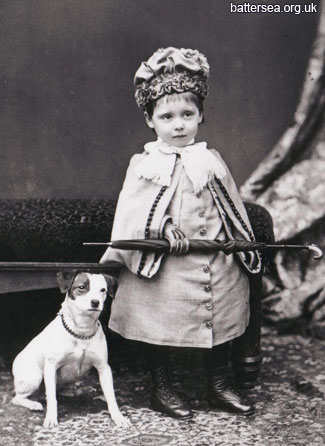 Королевская семья усыновляет собаку в приюте Battersea Dogs &  Cats Home