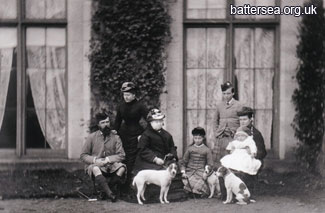 Battersea Dogs &  Cats Home берет под покровительство Королева Великобритании