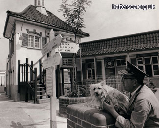Кошачий центр приюта Battersea Dogs &  Cats Home