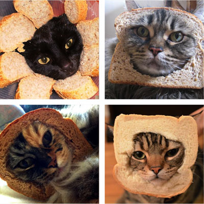 Кошки в хлебе - Breading Cats