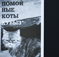  Антигламур – календарь с бездомными котами на 2011 год