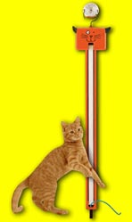 Автоматизированный шнурок для кошек Fling-ama-String
