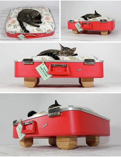 Винтажная кроватка для кошки своими руками - идеи для интерьера