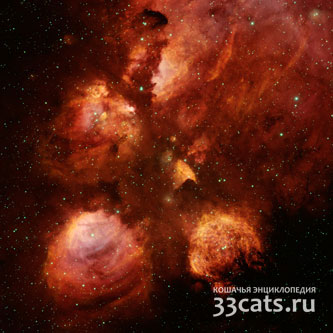 Кошачья Лапка Туманность NGC 6334