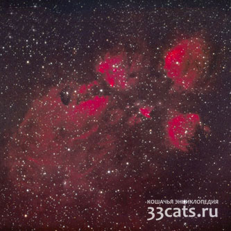 Кошачья Лапка Туманность NGC 6334