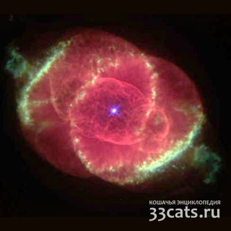 Кошачий Глаз Туманность NGC 6543