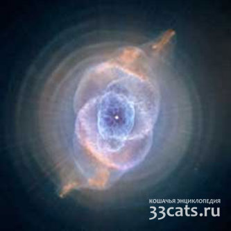 Кошачий Глаз Туманность NGC 6543