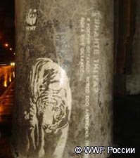 реверсивное граффити - амурский тигр
