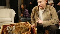 Владимиру Путину подарили на день рождения уссурийского тигренка