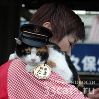 Кошка встречает пассажиров японского поезда