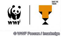 Общественная кампания WWF по охране амурского тигра