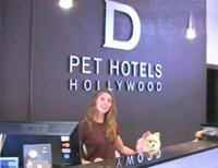 Пятизвездочный отель Ди Пет для собак в Голливуде