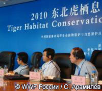 В Китае начинается проект по восстановлению популяции амурского тигра
