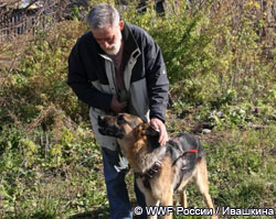 Собака – поисковик впервые стала участником полевой экспедиции по мониторингу снежного барса (ирбиса).