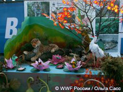 Дальневосточный леопард представил Хасанский район на выставке «Природа Приморья»