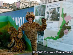 Дальневосточный леопард представил Хасанский район на выставке «Природа Приморья»