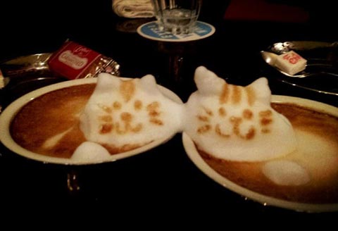 3D кошки в  латте арт Казуки Ямамото