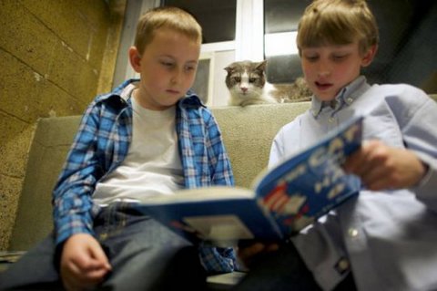 дети читают кошкам книги