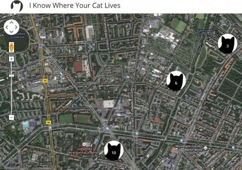 места, где живут кошки