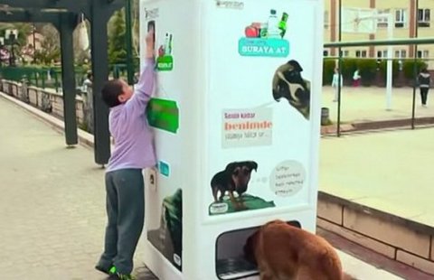 Автоматы для кормления бездомных животных появились на улицах Стамбула