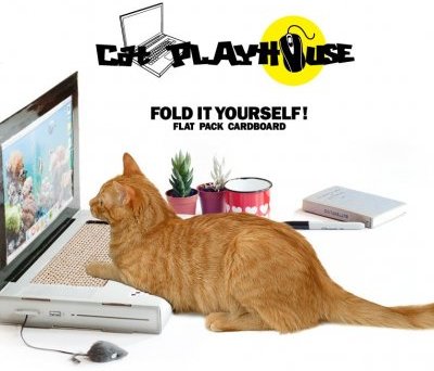 Cat Playhouse: первый кошачий ноутбук