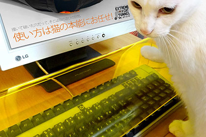 Клавиатура с защитой от кошек