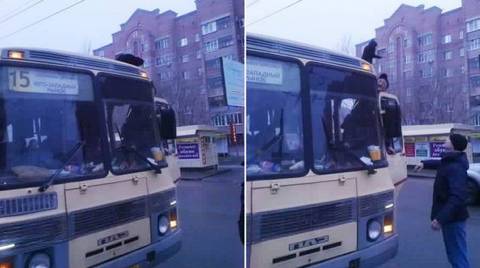 Кошку-экстремалку сняли с крыши маршрутки в Воронеже