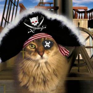 кот-пират