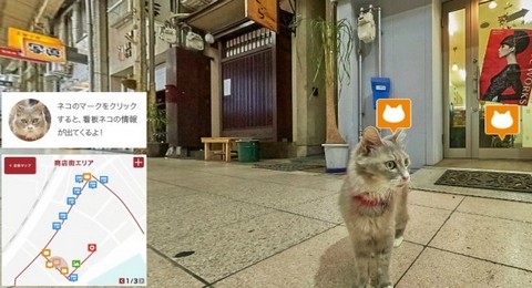 В Японии запустили сервис для кошек, аналогичный Google Street View