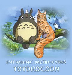 Totorocoon *RU - питомник кошек породы мейн-кун